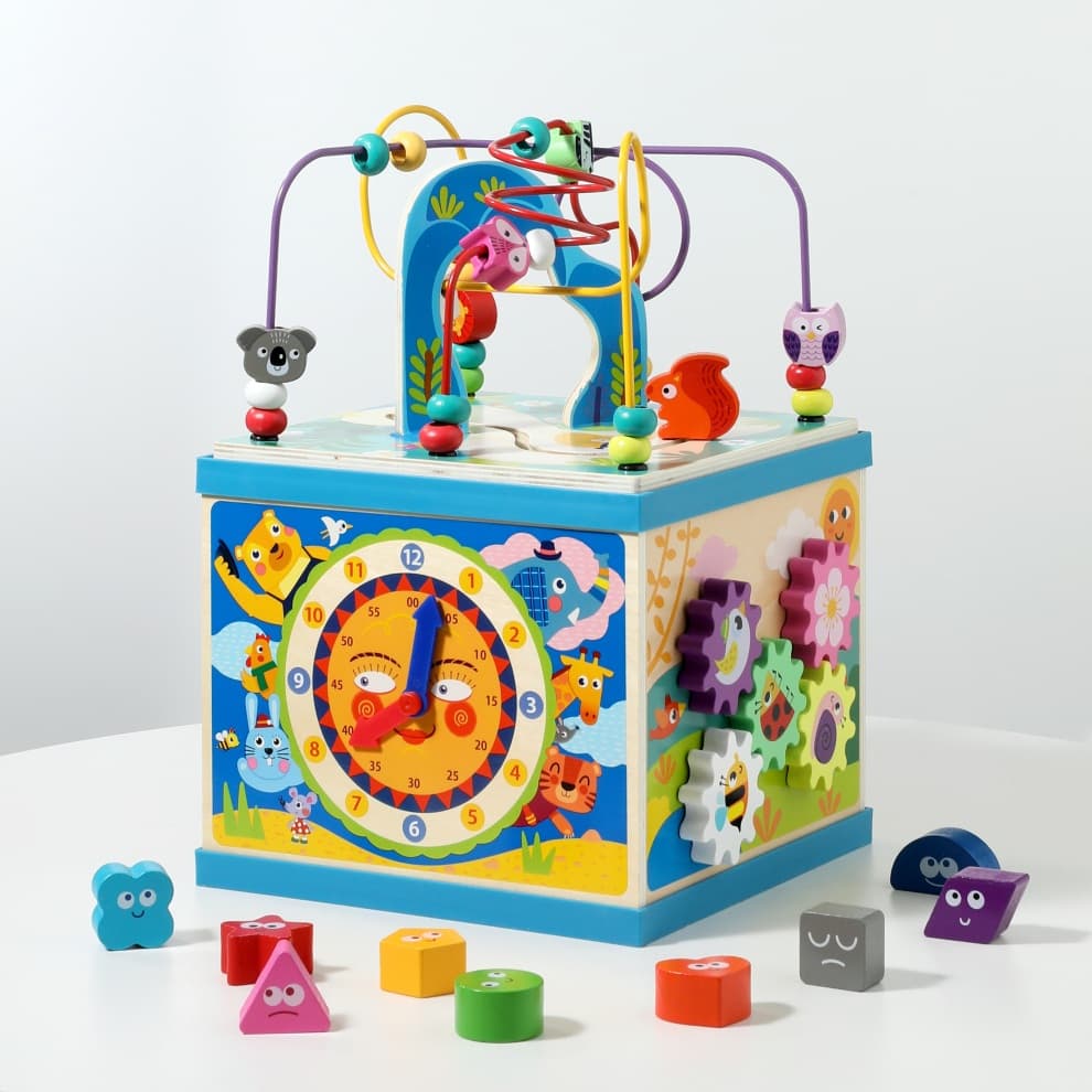 Educational Activity Cube